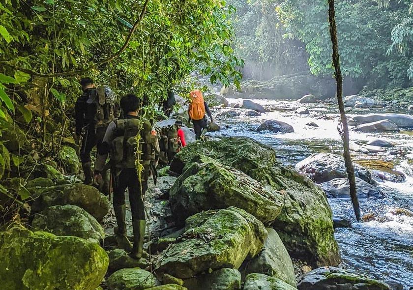 Dandeli