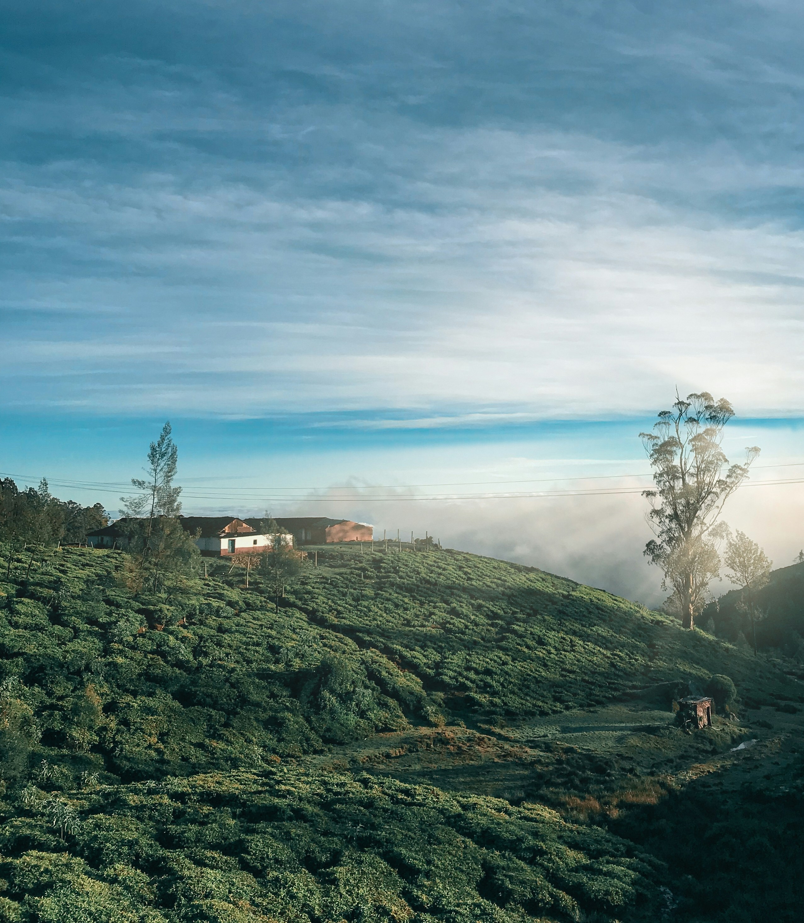 South India Package